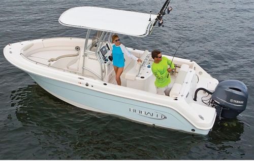 Robalo R222EX Explorer (2017) - Test Video Video